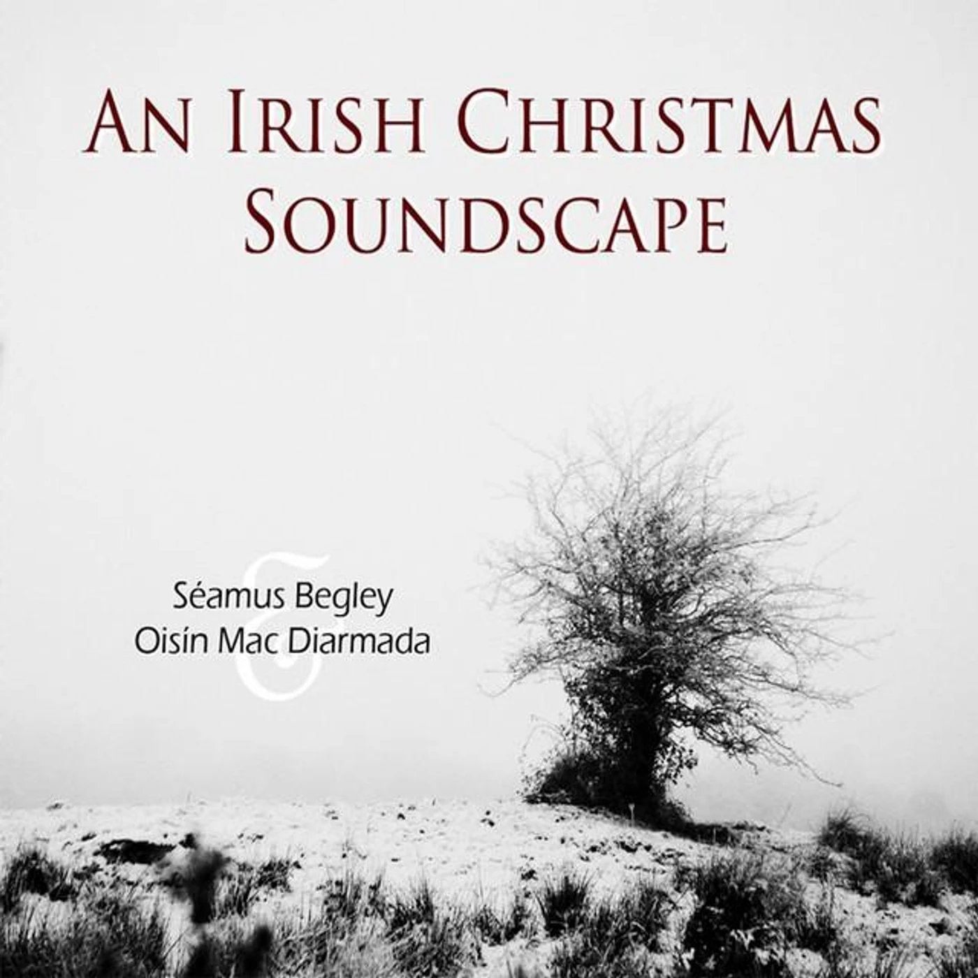 Séamus Begley & Oisín Mac Diarmada
