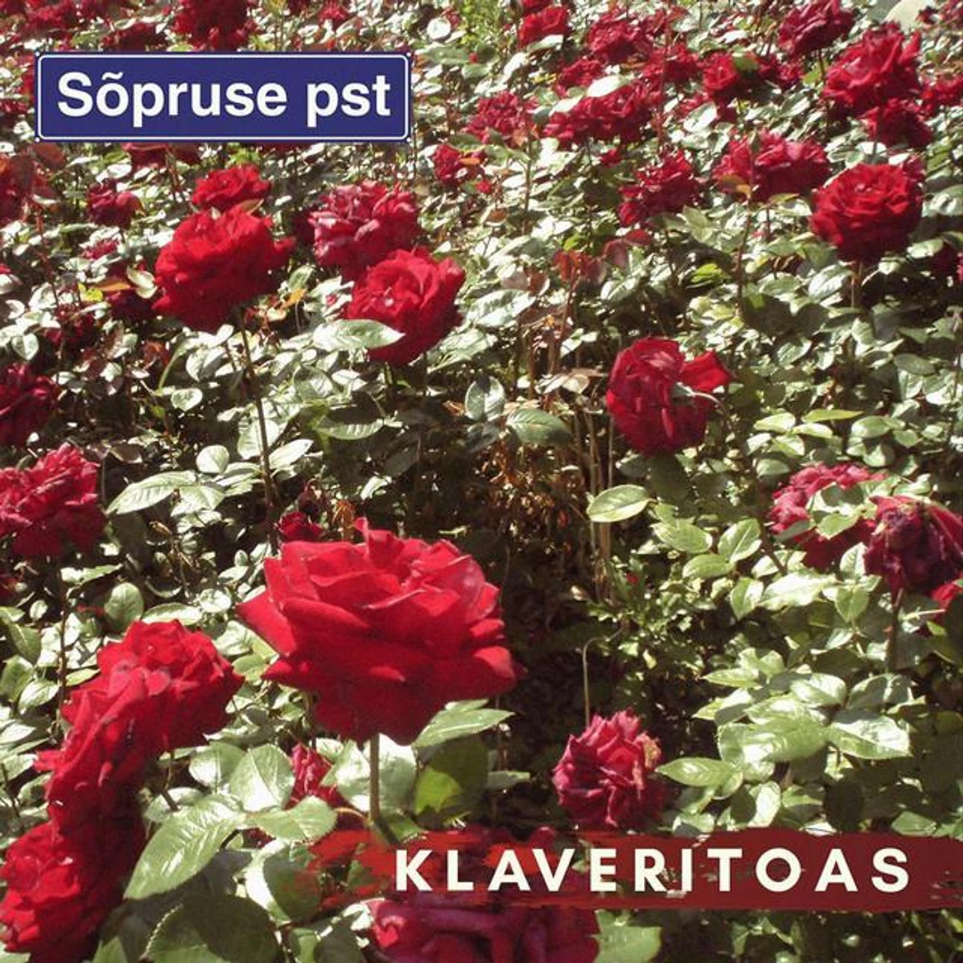 Sõpruse Puiestee Brand Page