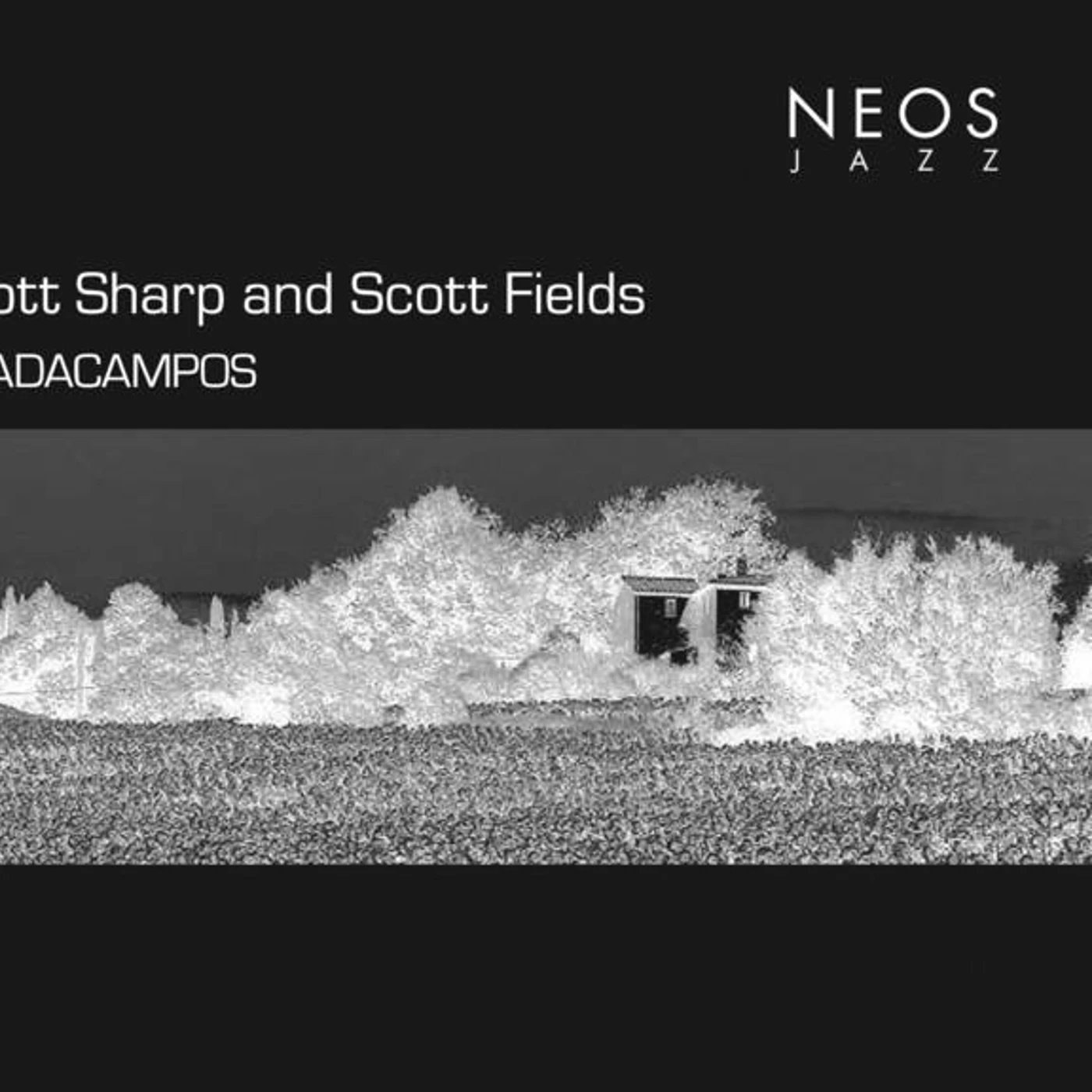 Scott Fields
