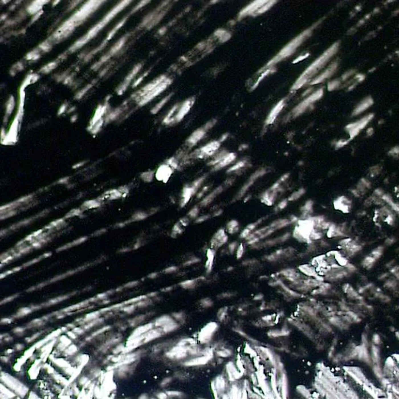 san carol Brand Page