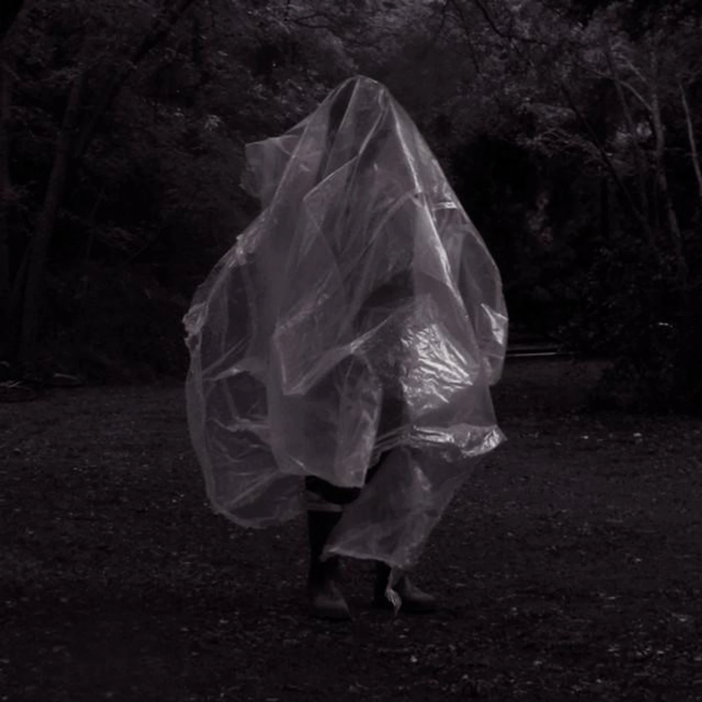 San Ignacio Brand Page