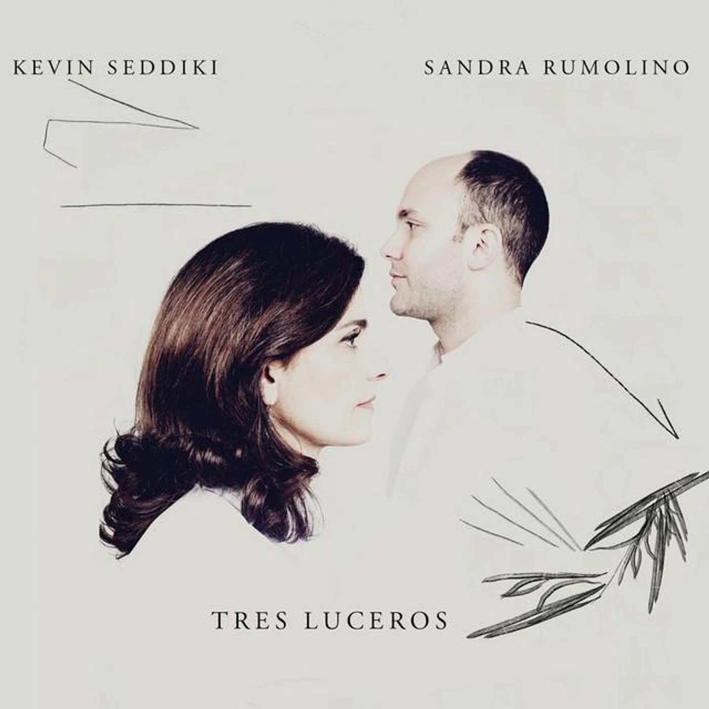 Sandra Rumolino Brand Page