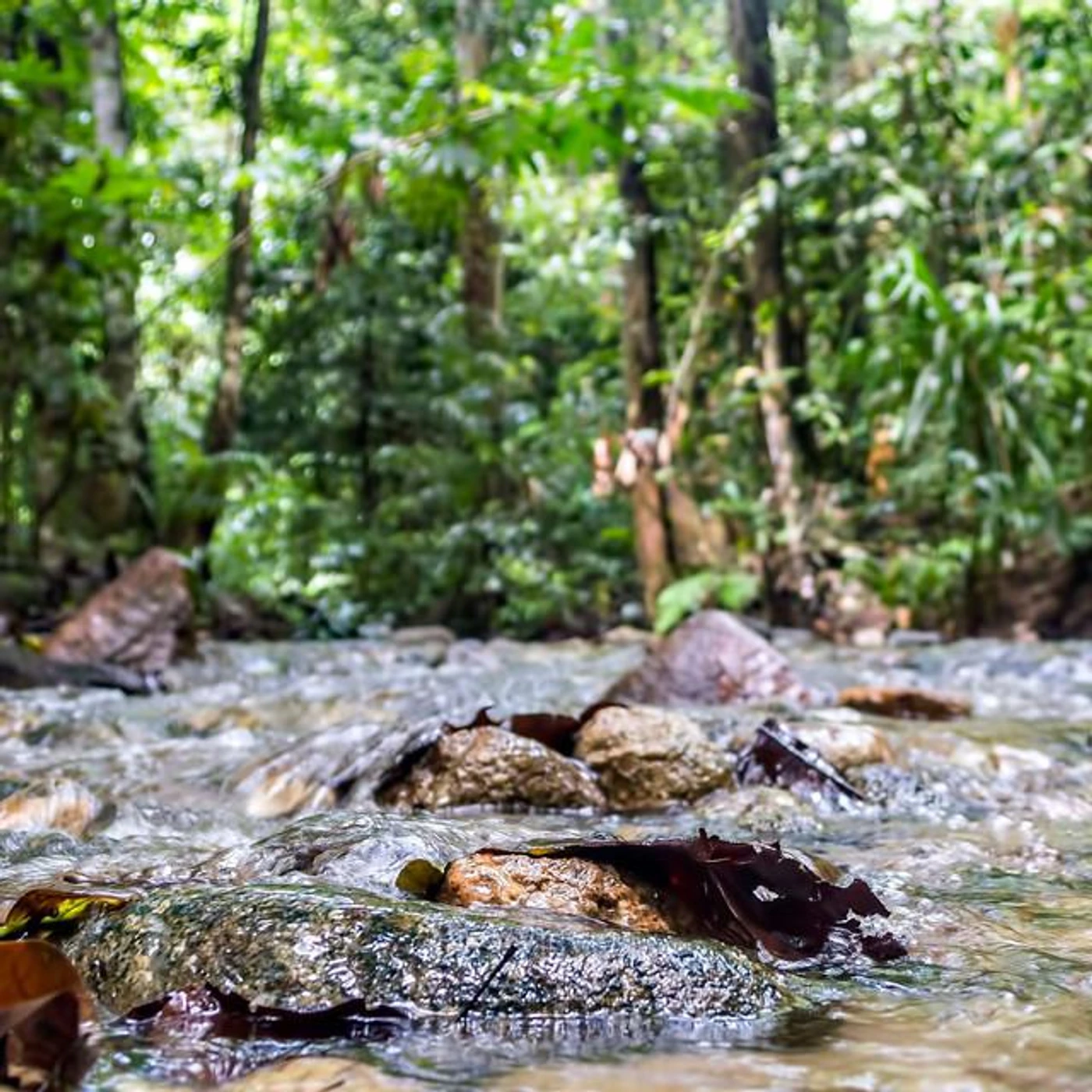 Sangu Wong Brand Page