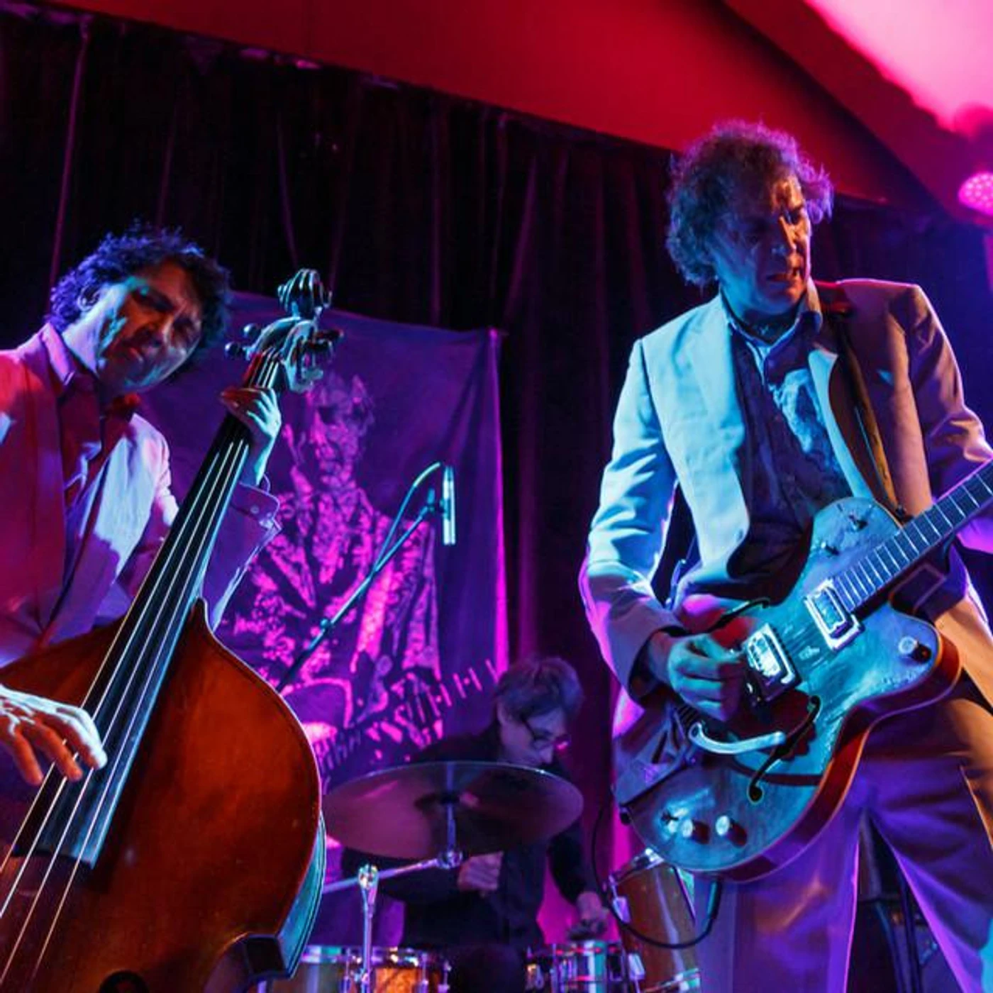 The Sadies Brand Page