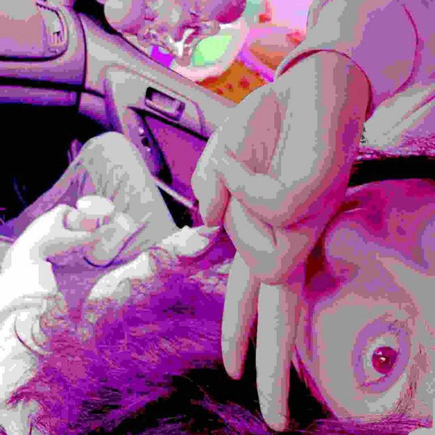 Salem's Corydalis Brand Page