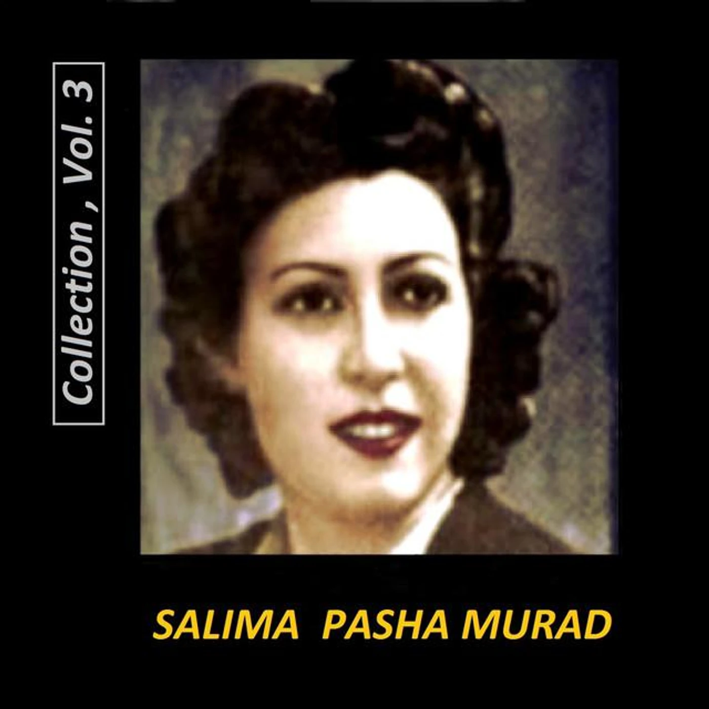 Salima Pasha Murad