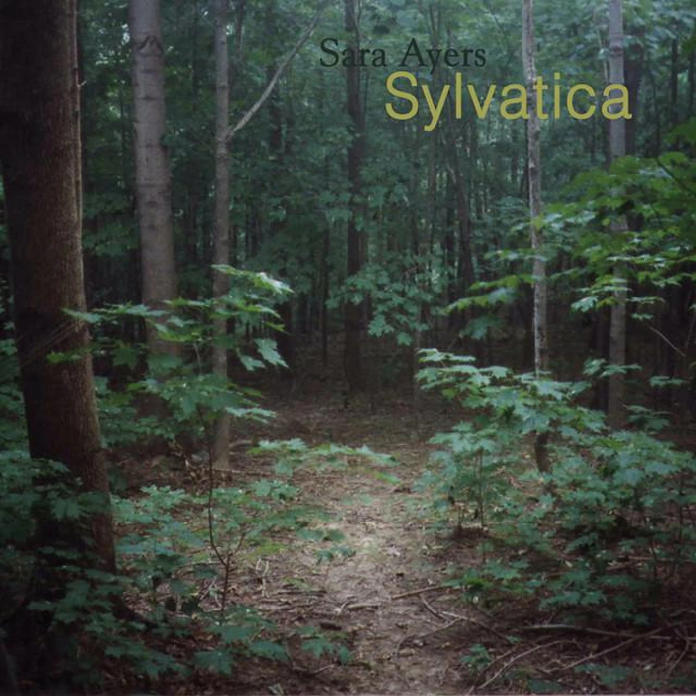 sara ayers Brand Page