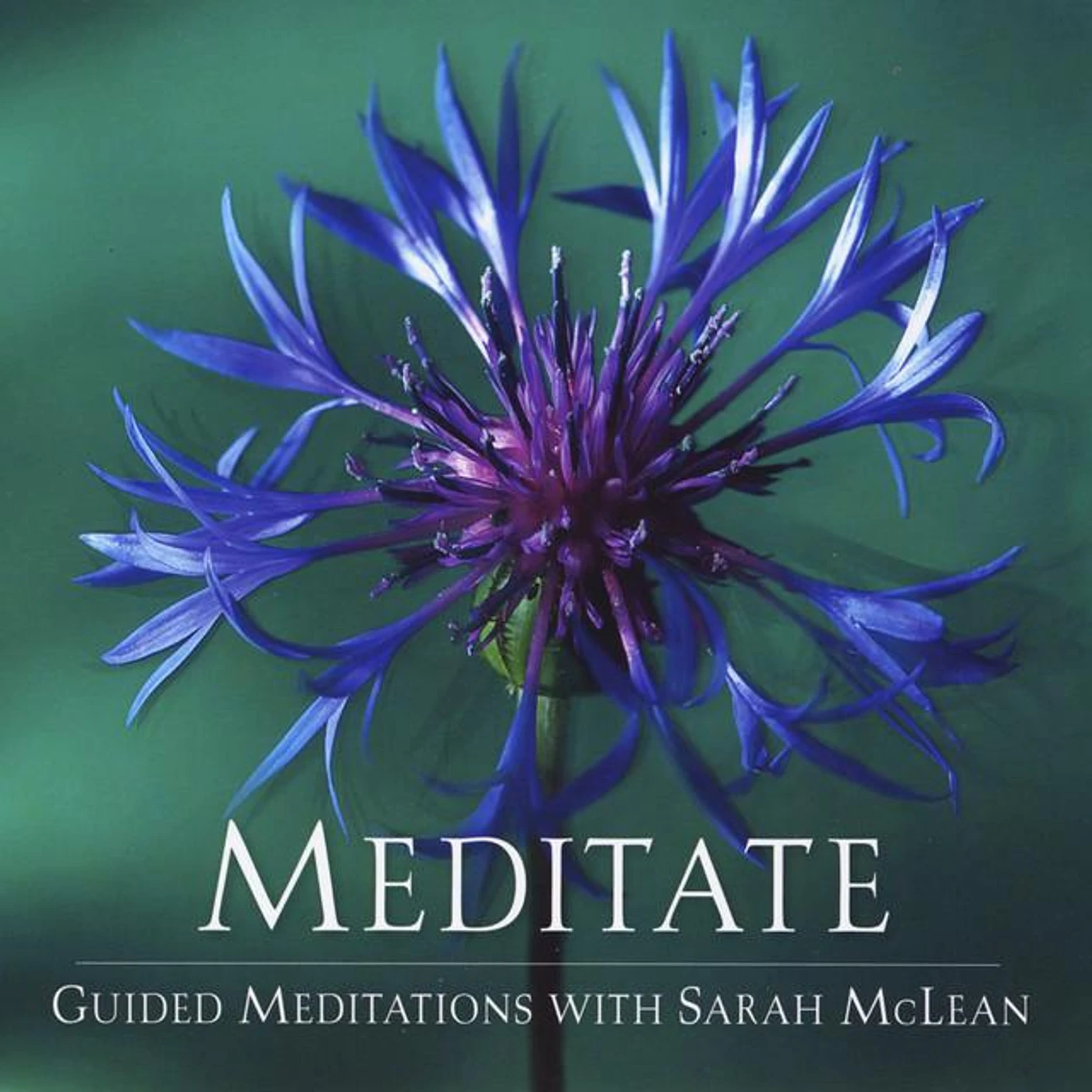 Sarah Mclean Brand Page
