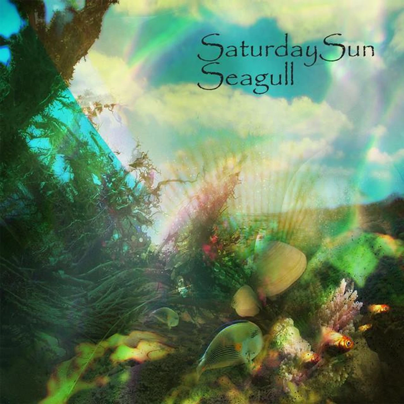 Saturday Sun Brand Page