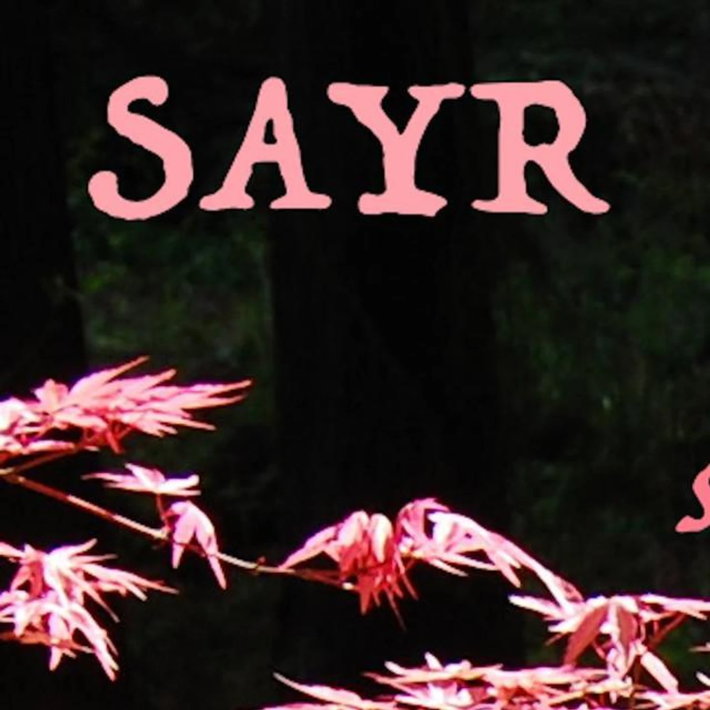 Sayr Brand Page
