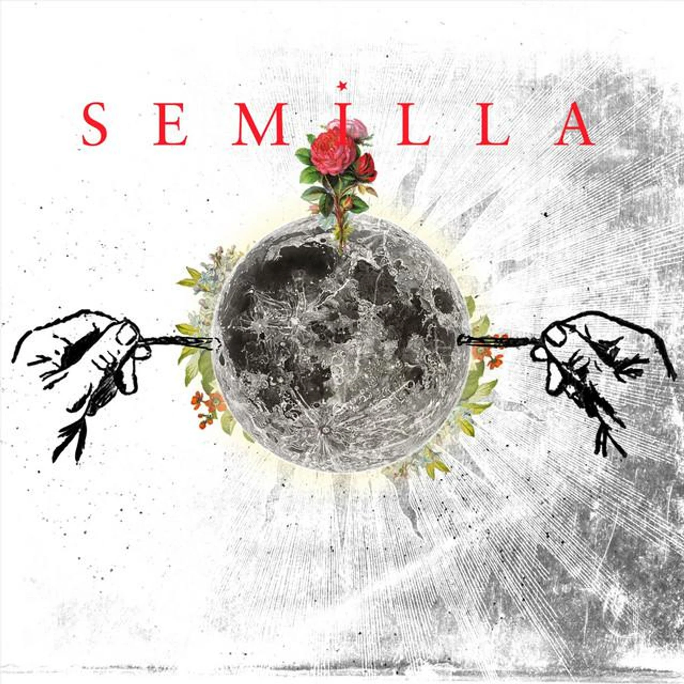 Semilla