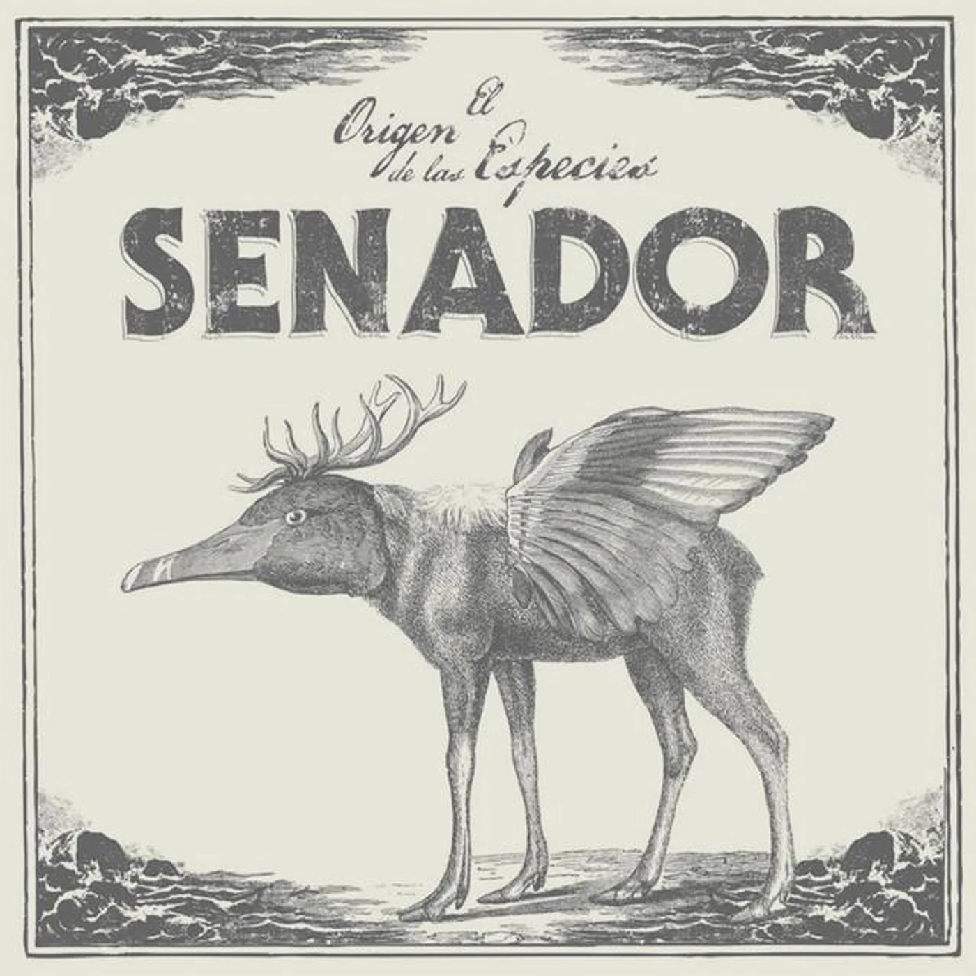 Senador Brand Page