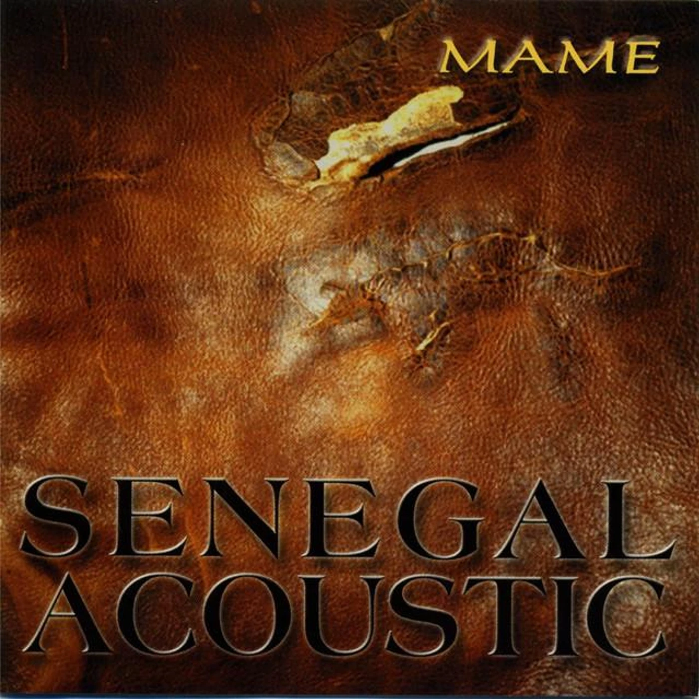 Senegal Acoustic Brand Page
