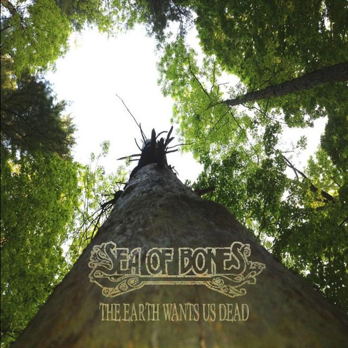 Sea of Bones Brand Page