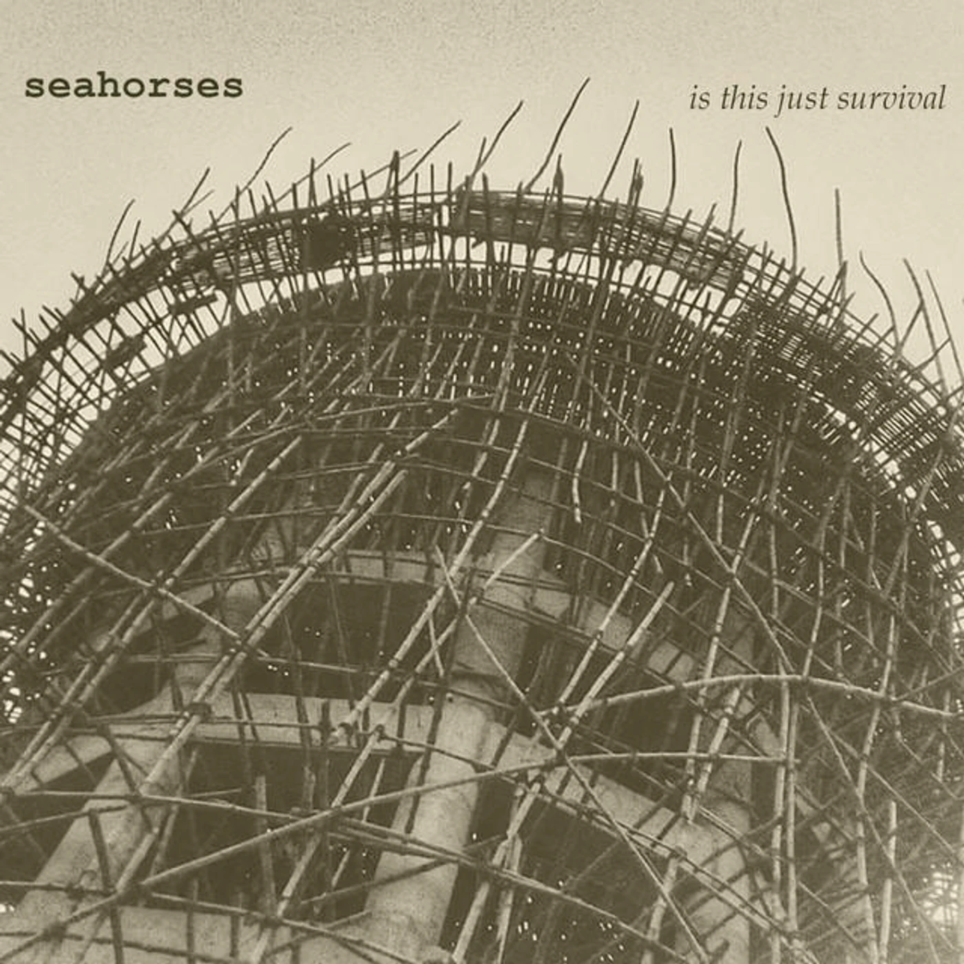 Seahorses Brand Page