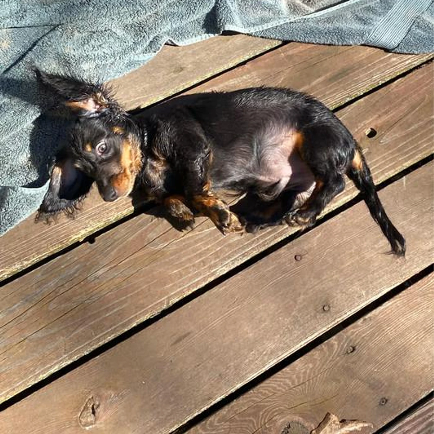 Sean Maguire Brand Page