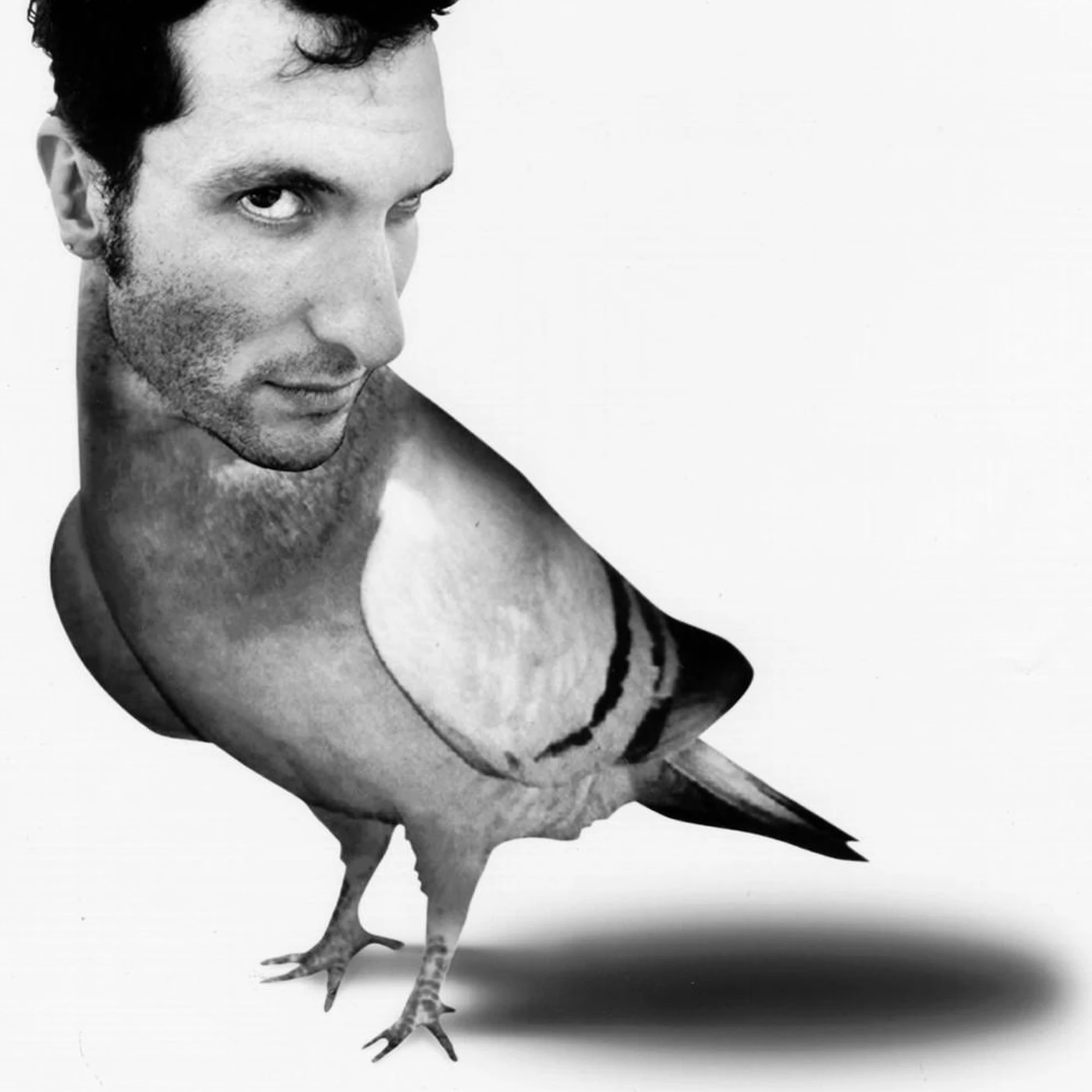 Sean Altman Brand Page