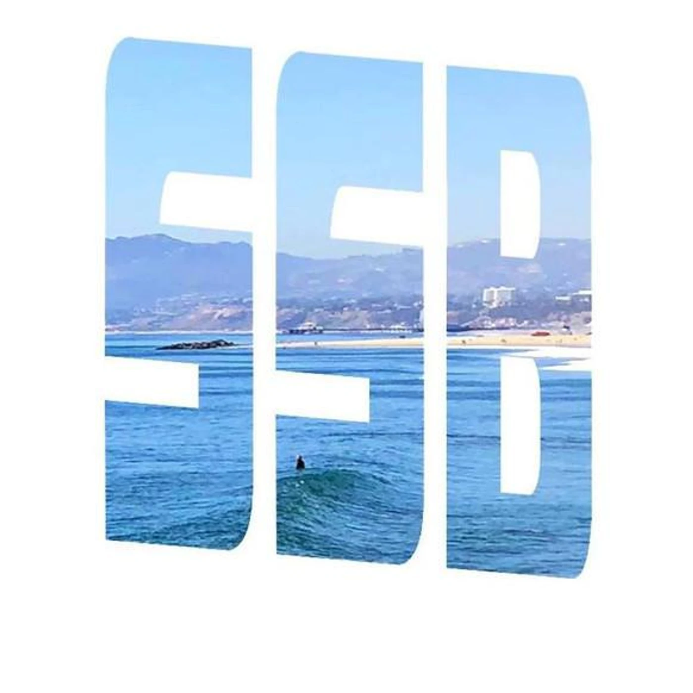 Seaside Bailout