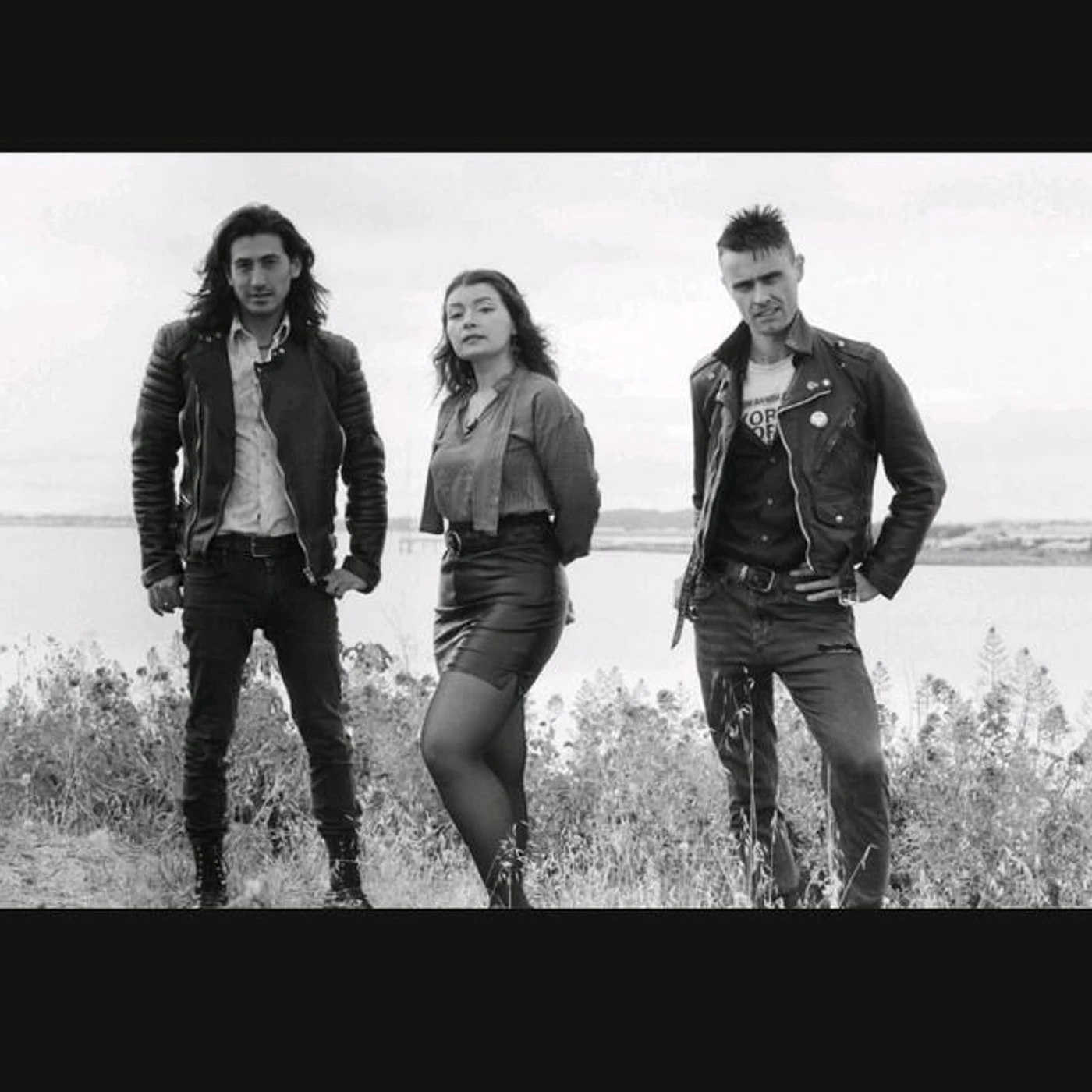 Sectarian Bloom Brand Page