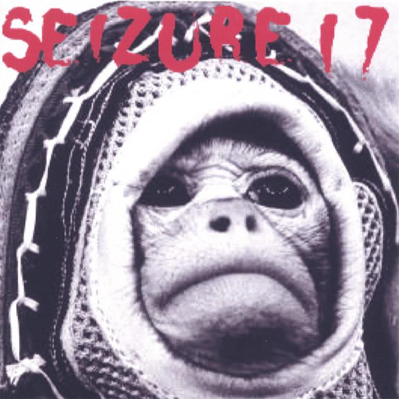 Seizure 17 Brand Page