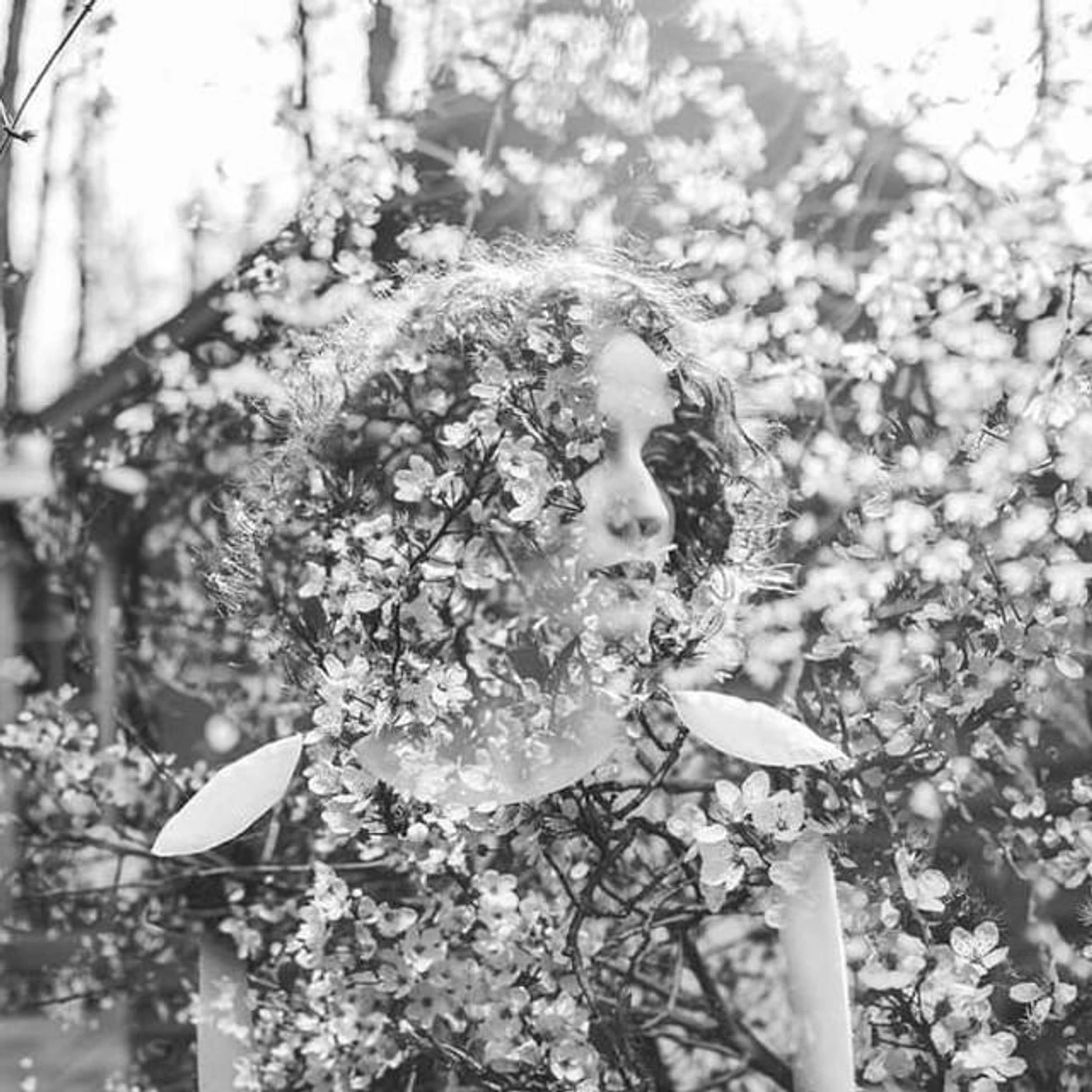 Serena Abrami Brand Page
