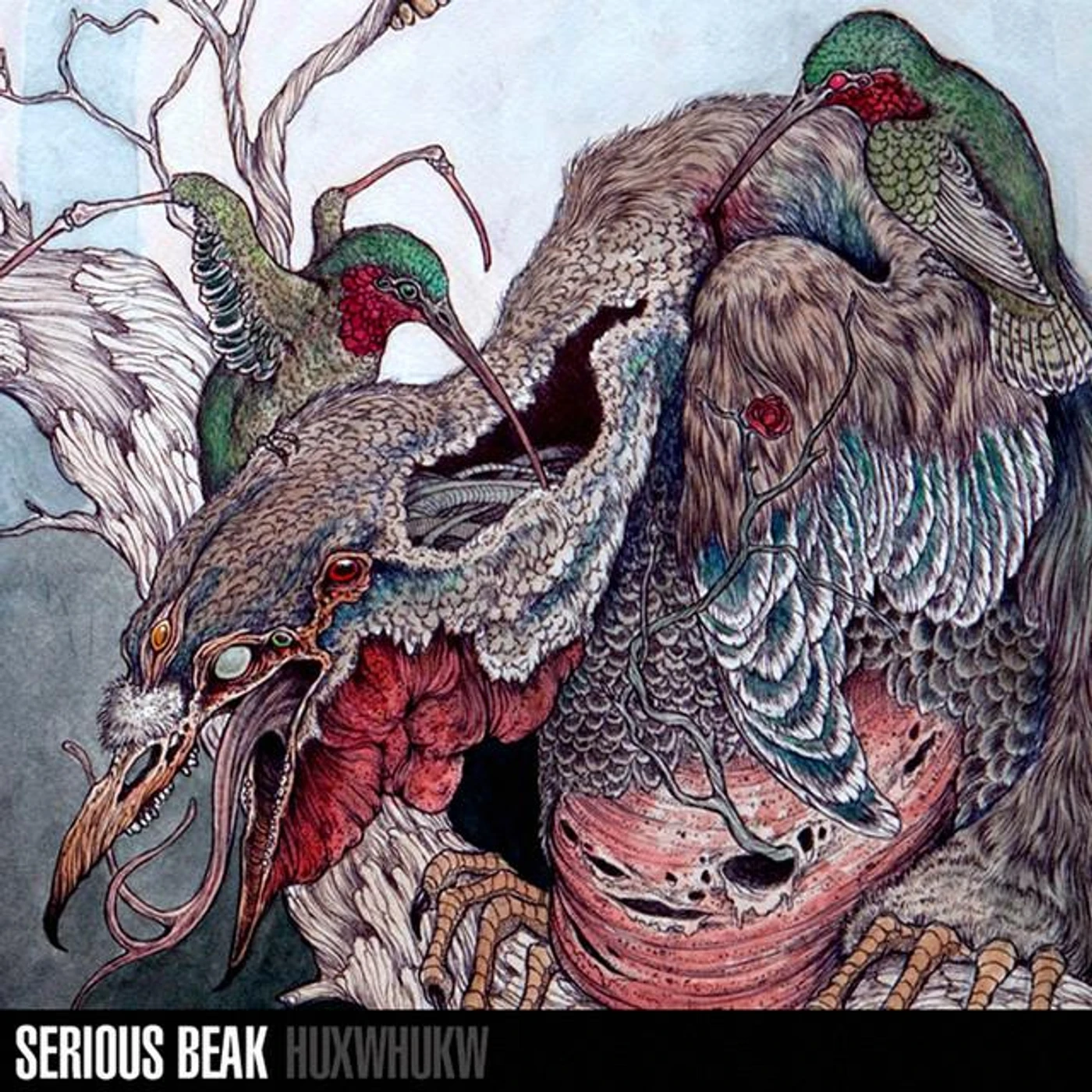 Serious Beak Brand Page