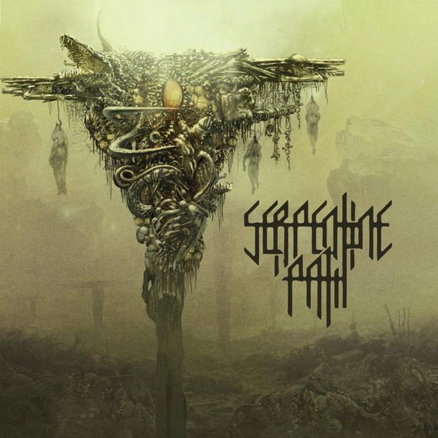 Serpentine Path Brand Page