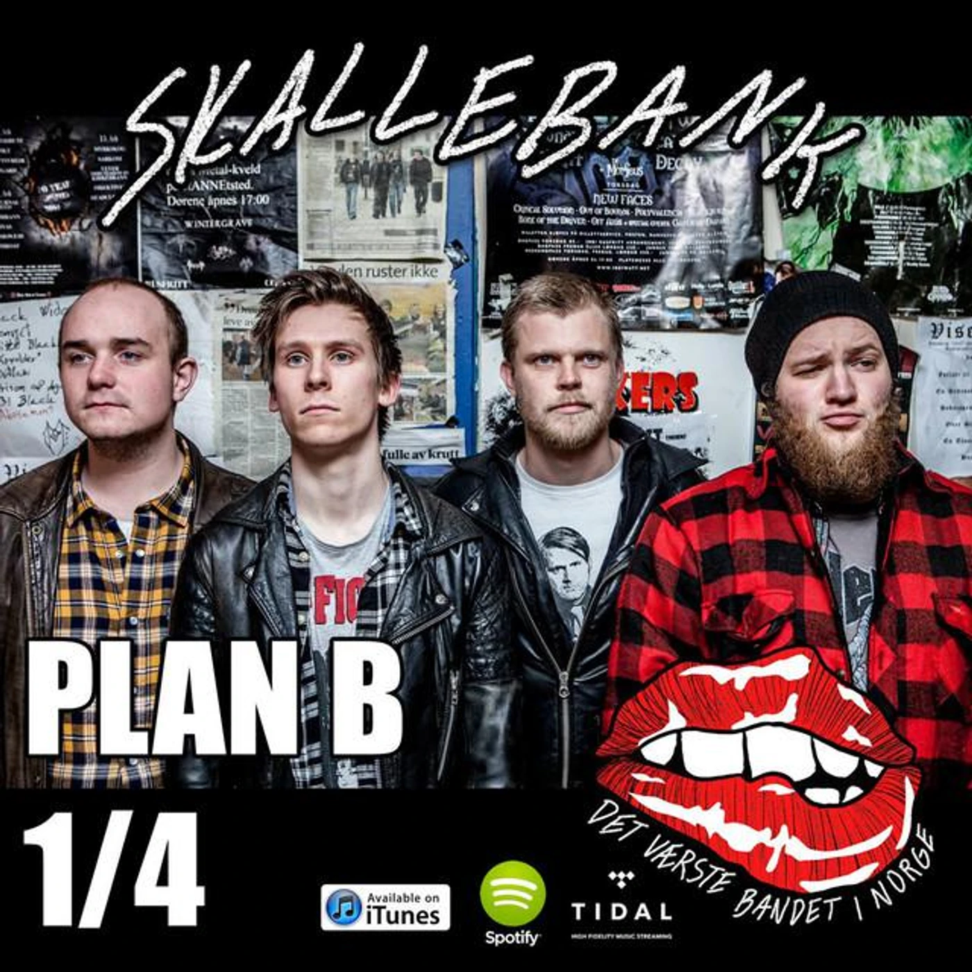 Skallebank Brand Page