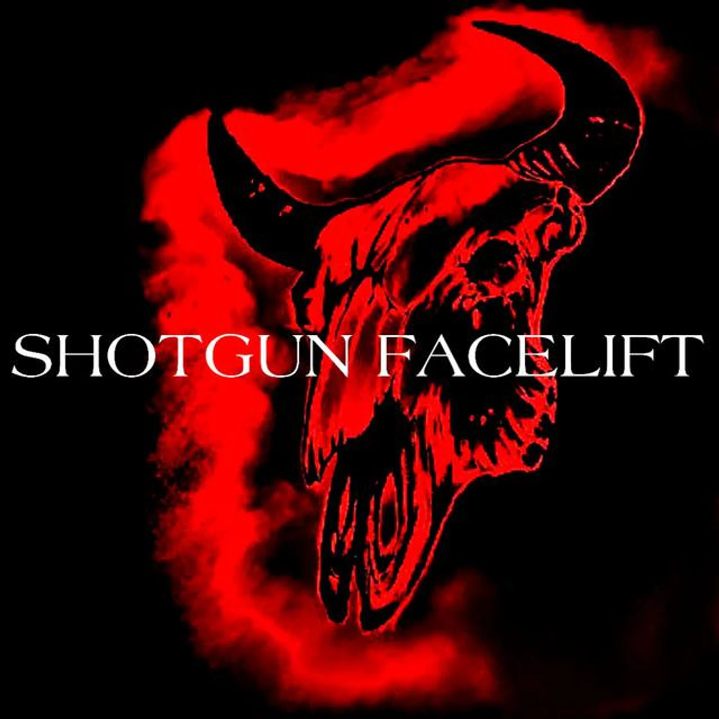 Shotgun Facelift Brand Page