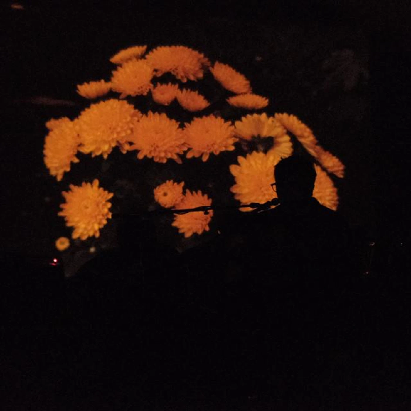 Shoecraft Brand Page