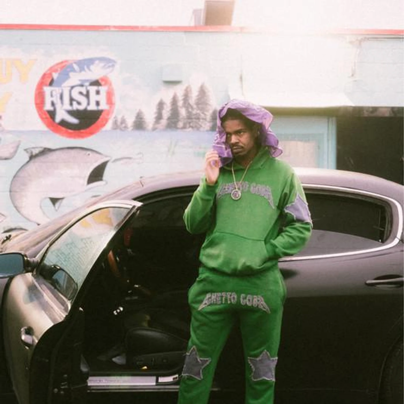 Shaudy Kash