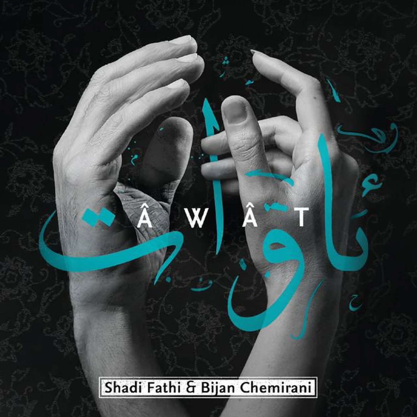 Shadi Fathi