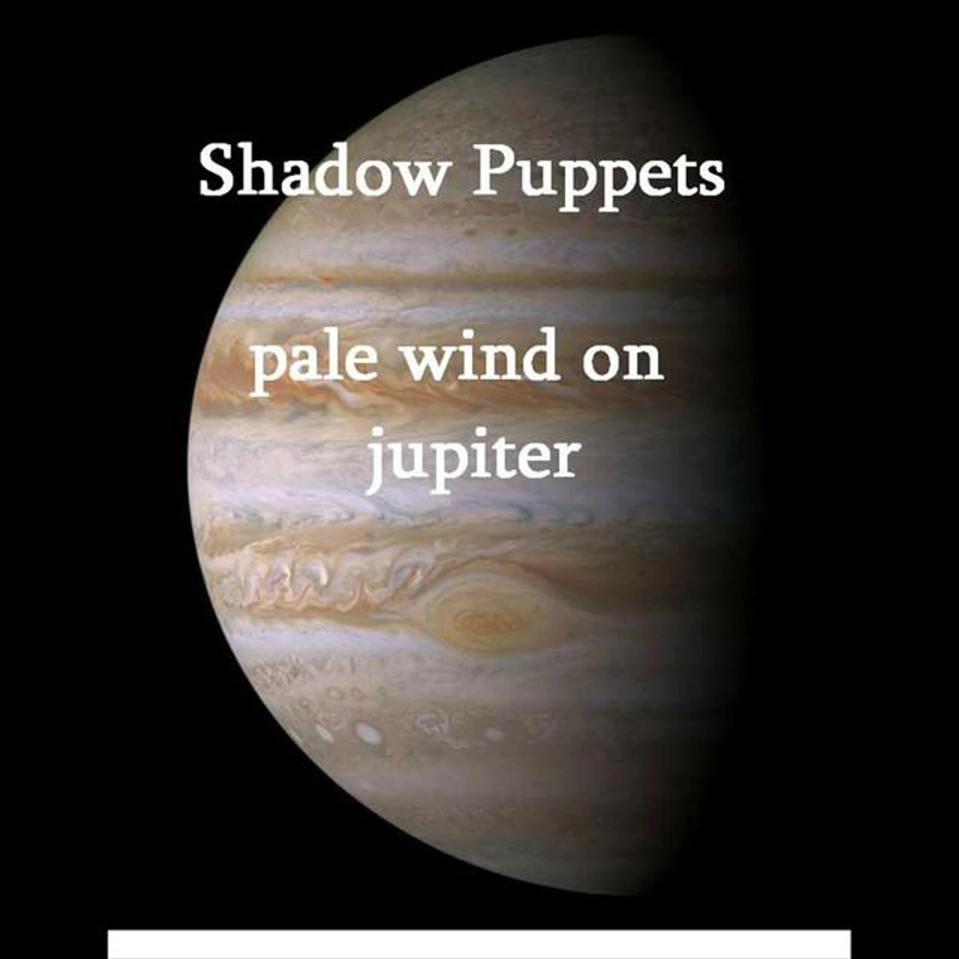 Shadow Puppets Brand Page