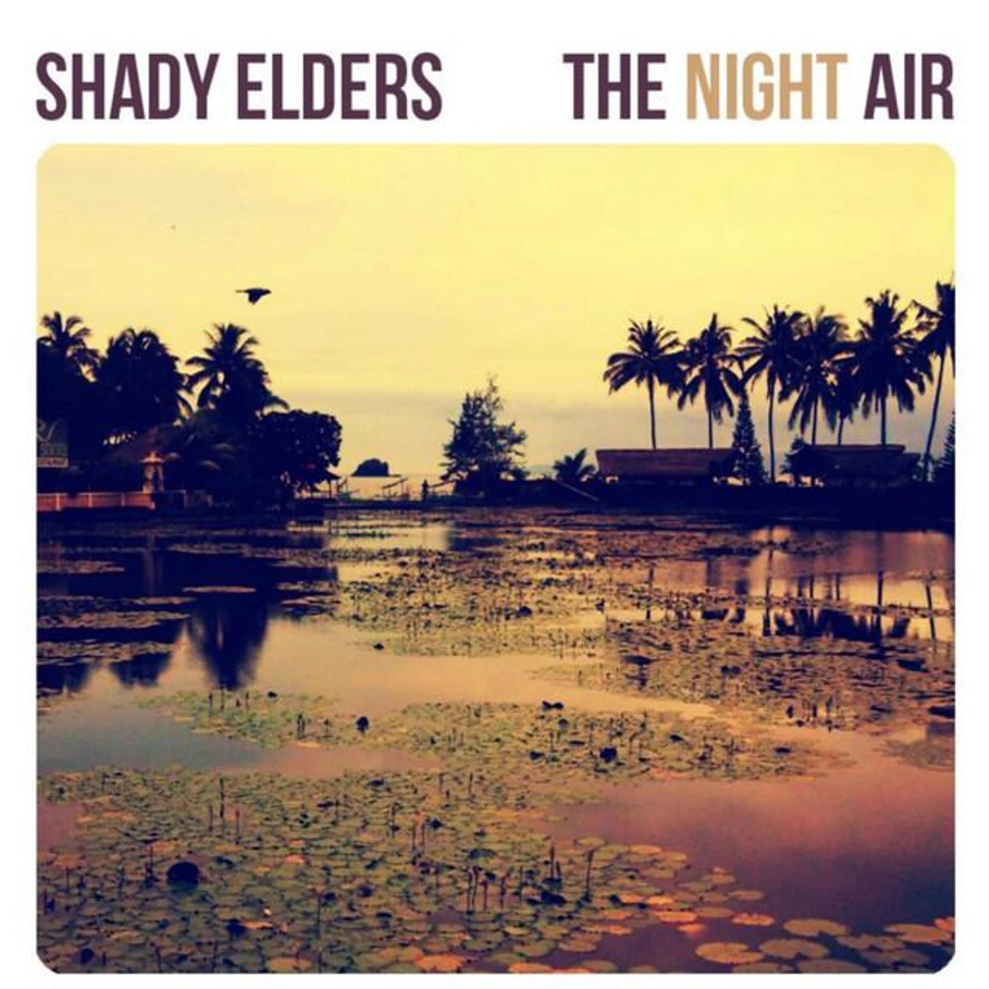 Shady Elders