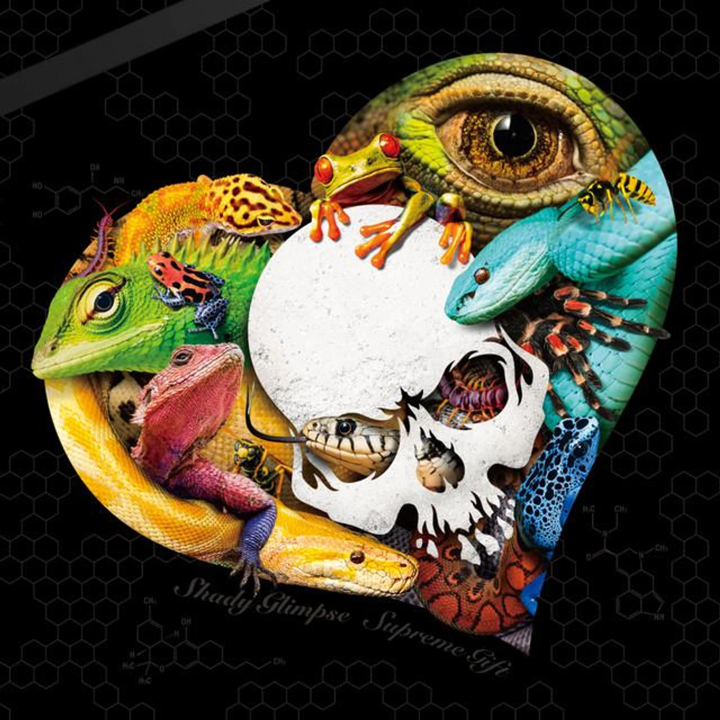 Shady Glimpse Brand Page