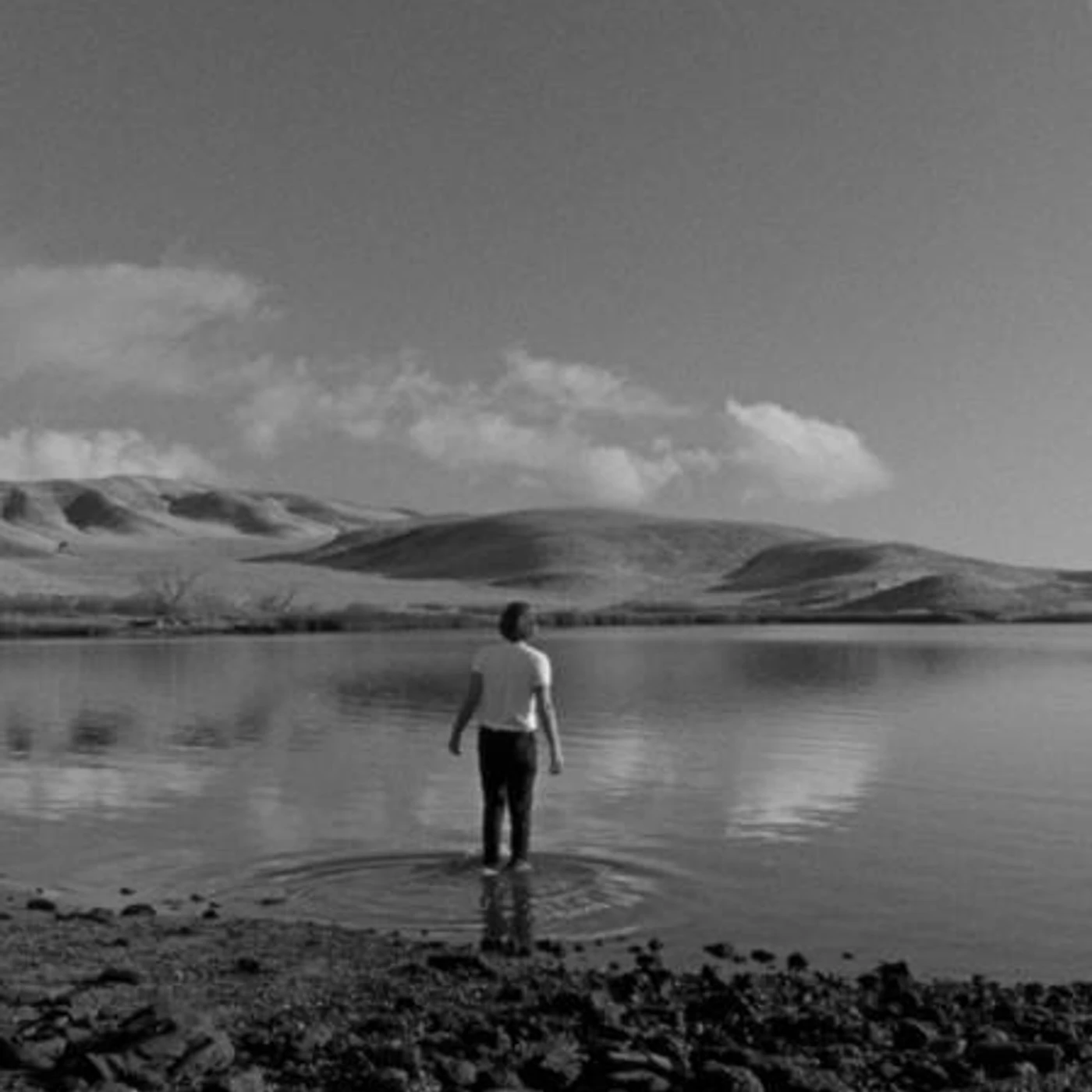 The Shakes Brand Page