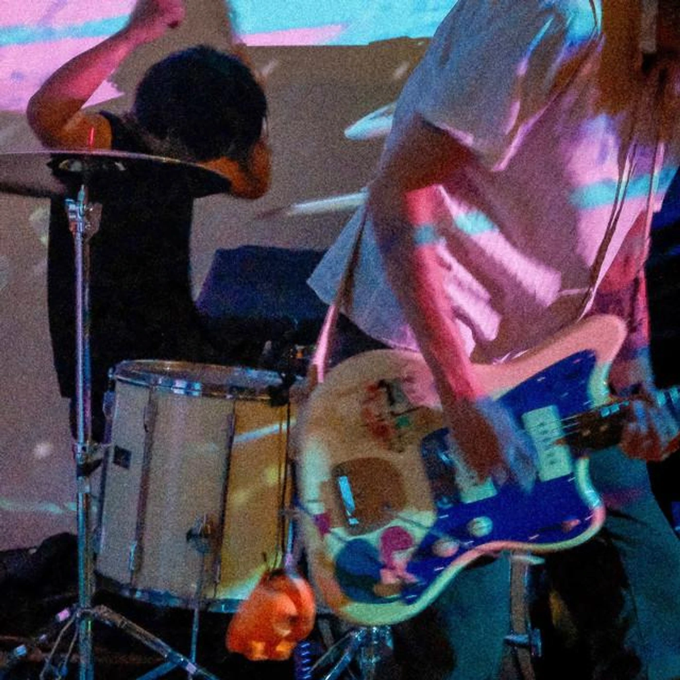 Shaki Tavi Brand Page