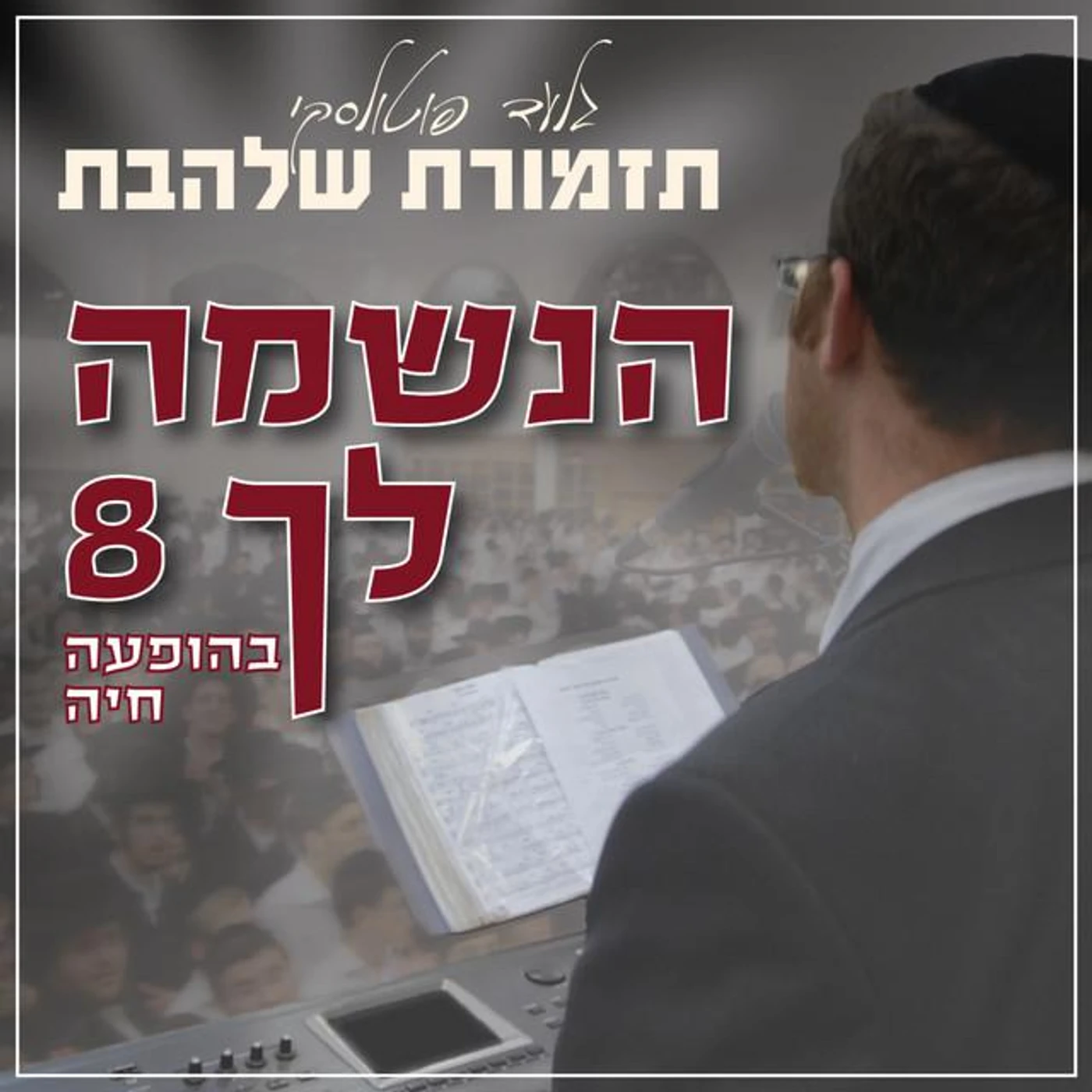 Shalhevet Orchestra Brand Page