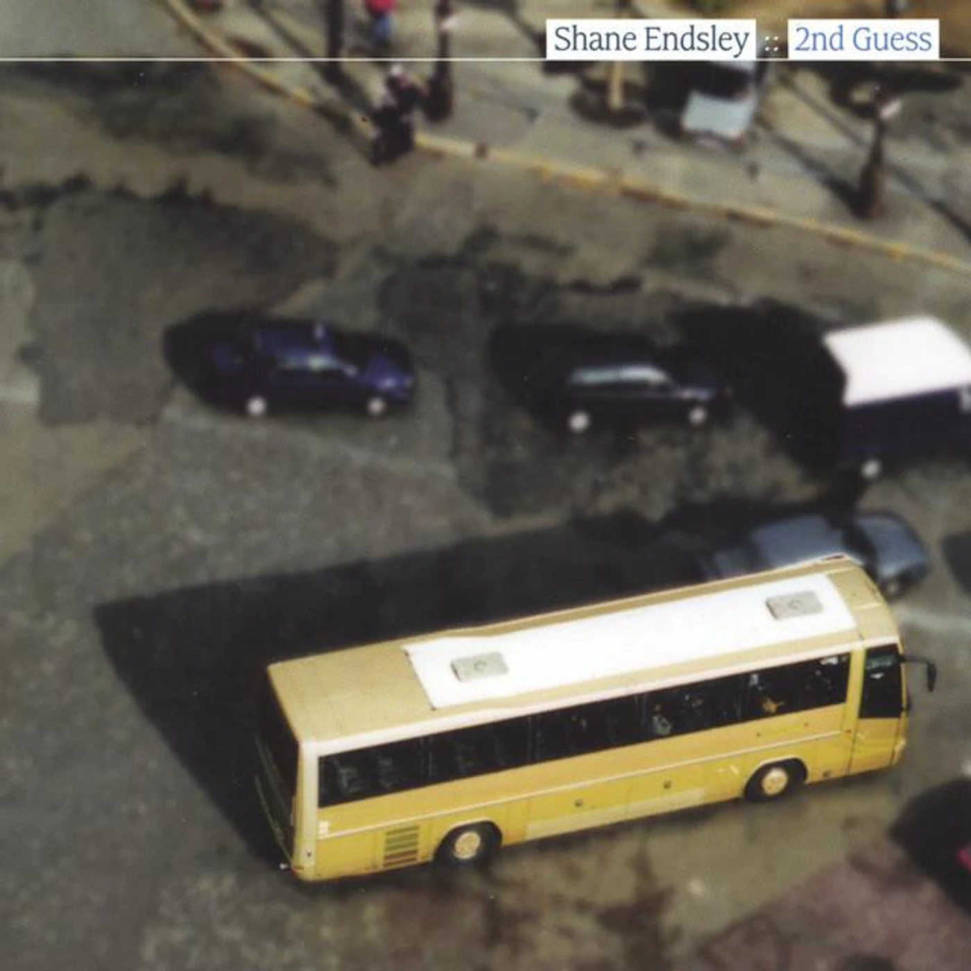 Shane Endsley Brand Page