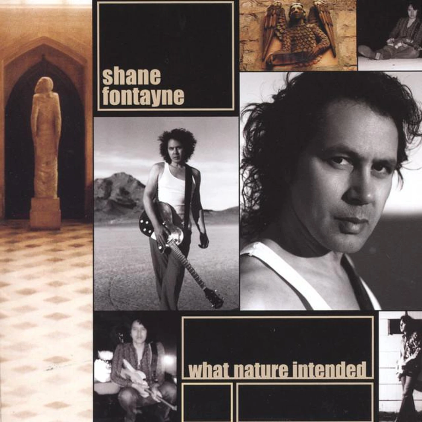 Shane Fontayne Brand Page