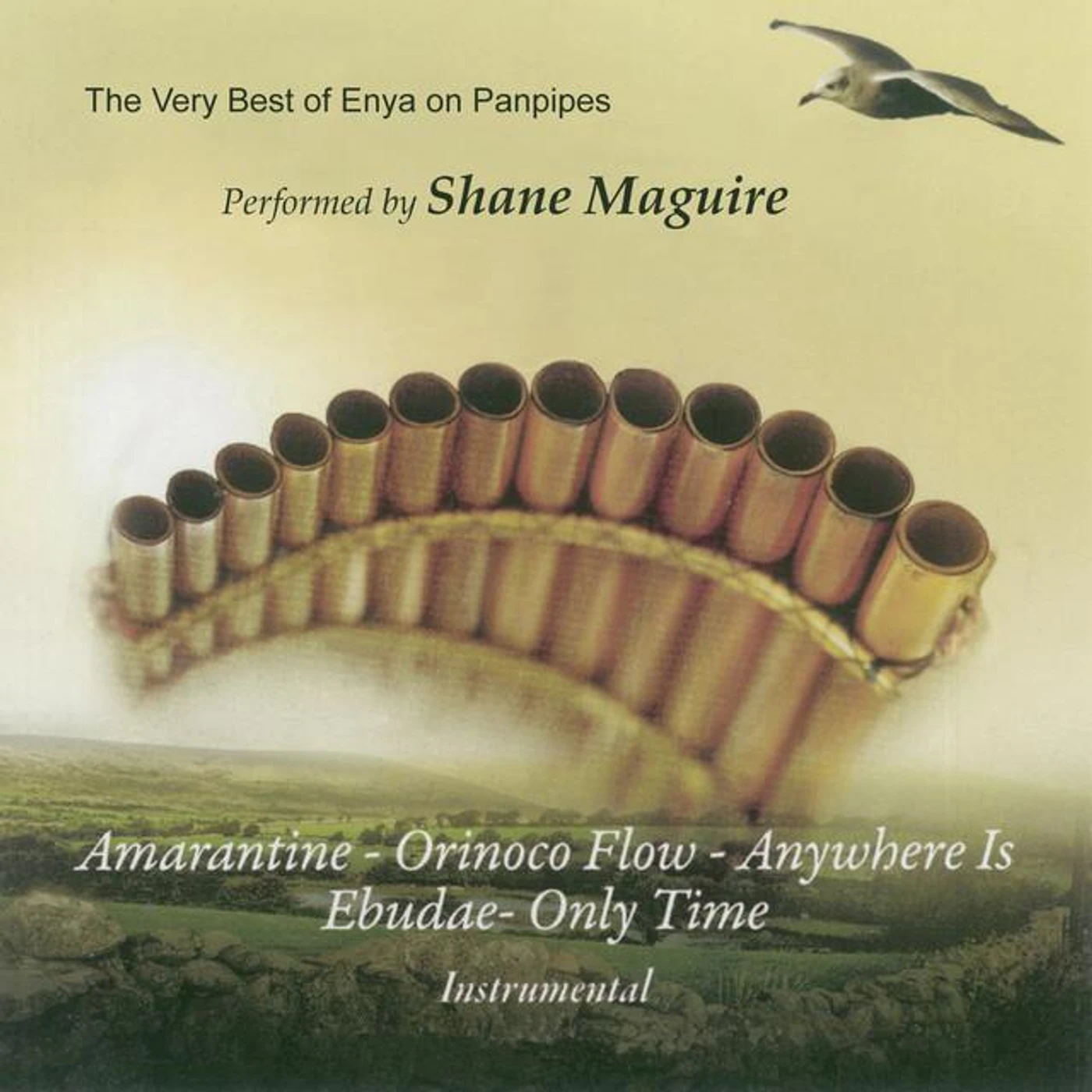 Shane Maguire Brand Page