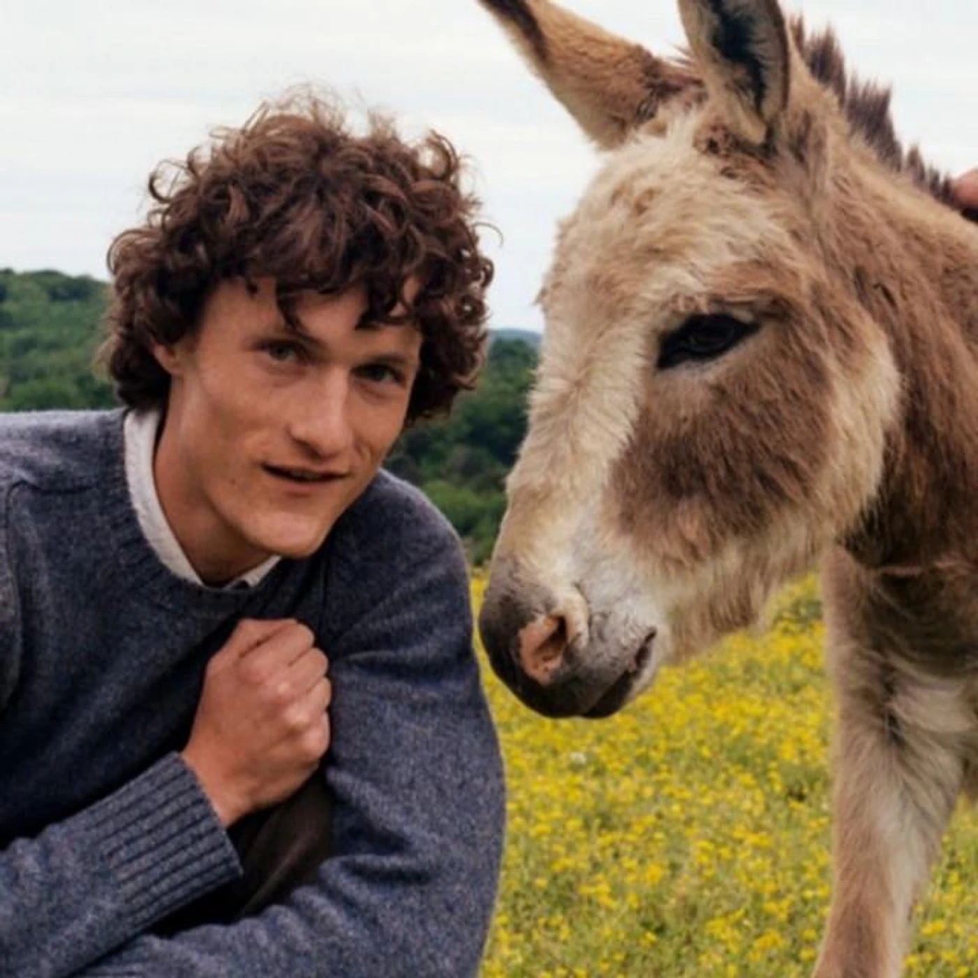 Shane Perry Brand Page