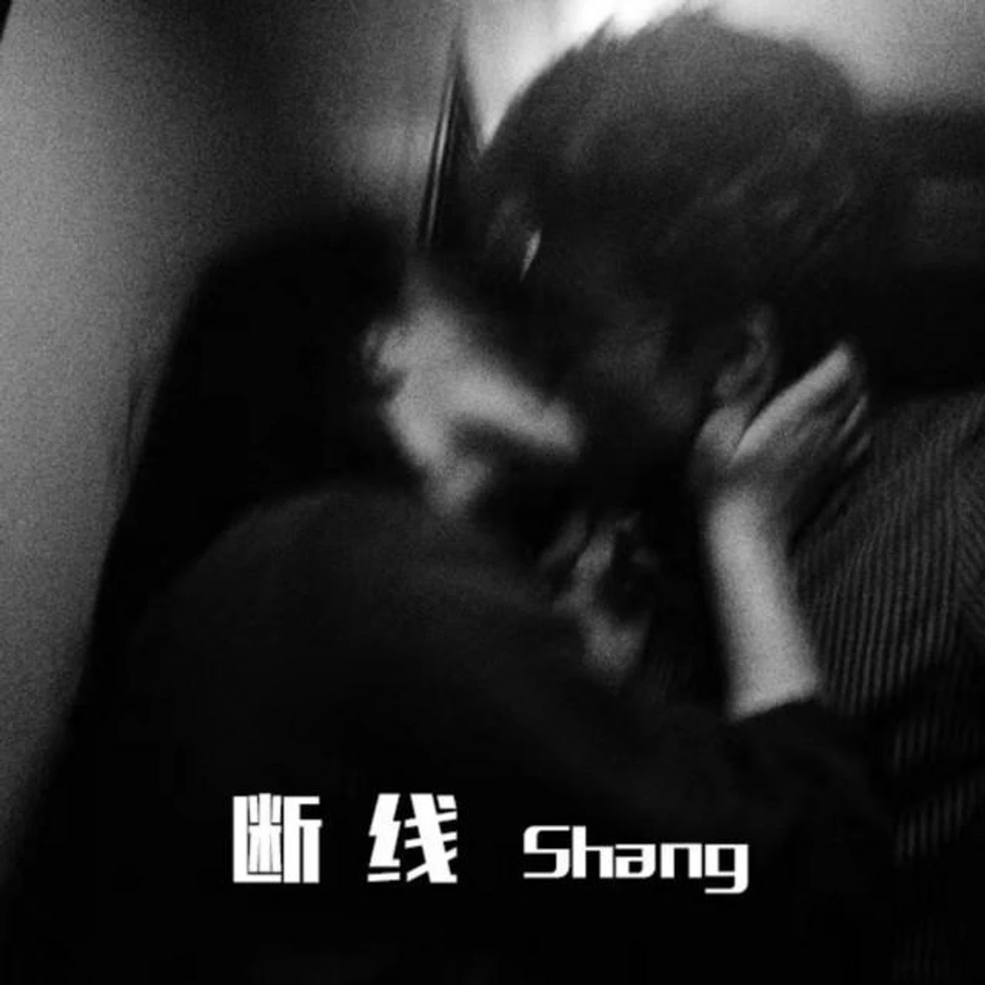 Shang Brand Page