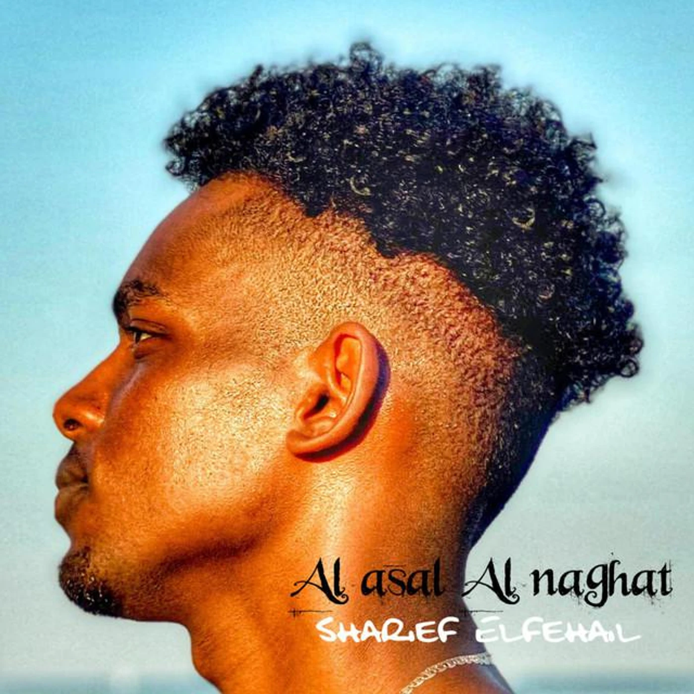 Sharief Elfehail Brand Page