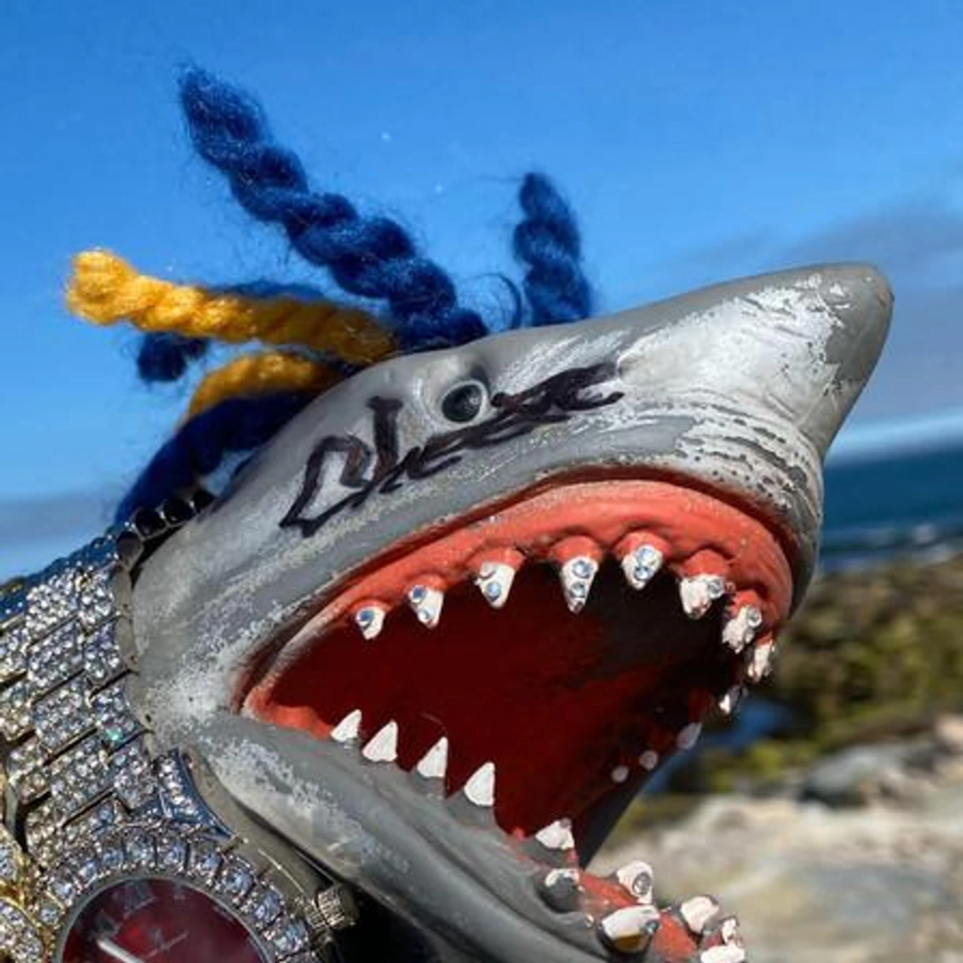 Shark Puppet