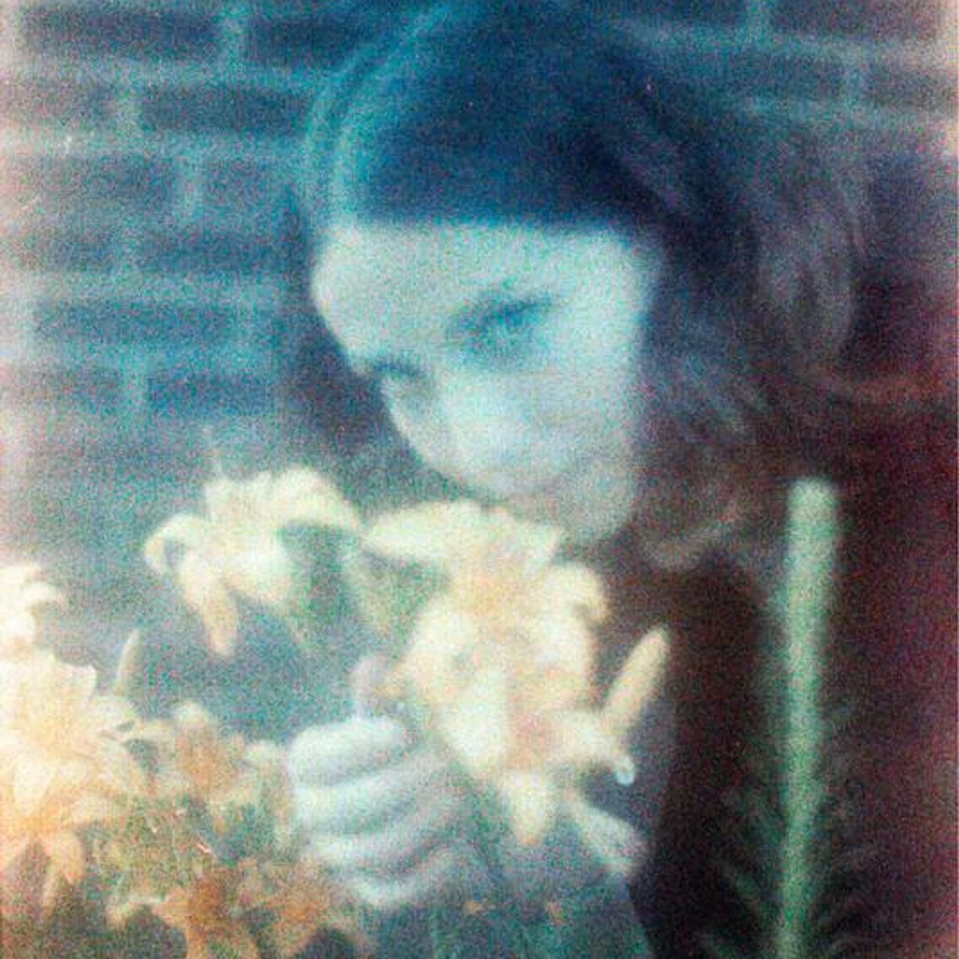 Sharon Silva Brand Page