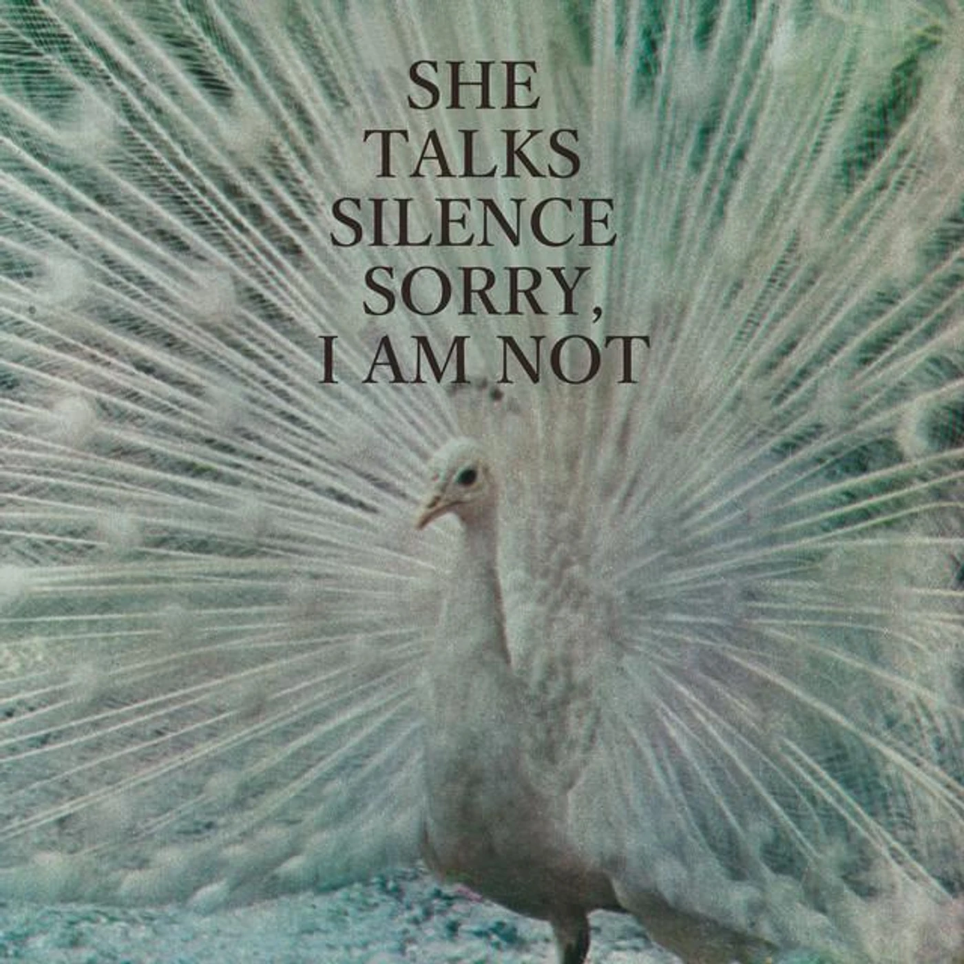 She Talks Silence Brand Page