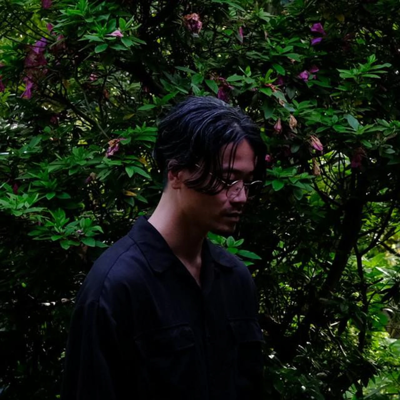 Shinji Wakasa Brand Page