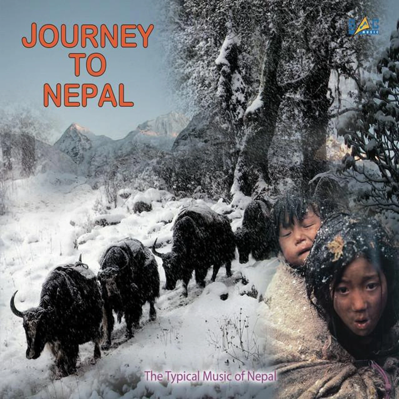 Shyam Sharan Nepali Brand Page