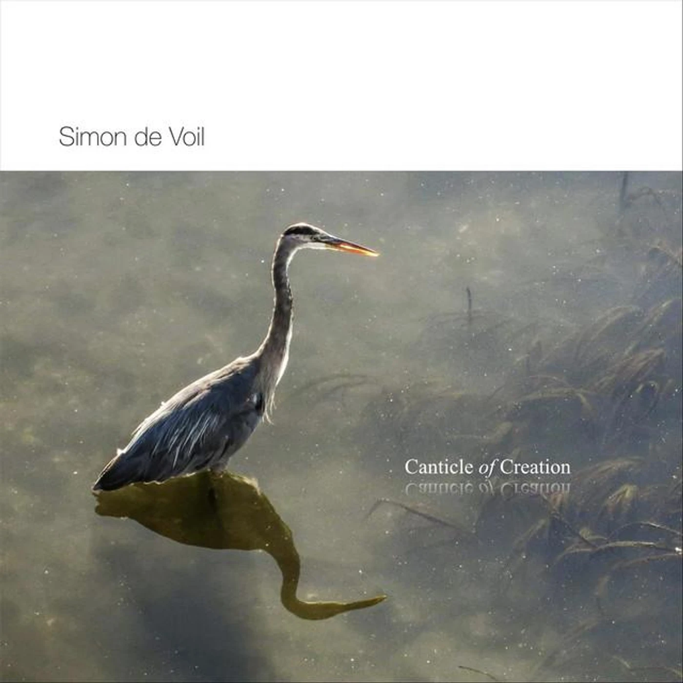 Simon de Voil Brand Page